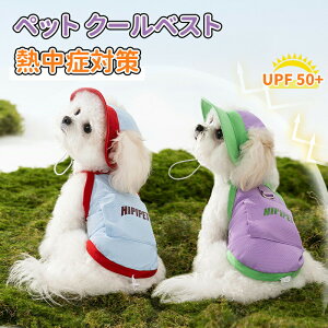 _10{|Cg^p N[xXg ybg  t  ۗ܂܂ Ђ⊴N[Ђ EFA ΍ L N[EGA N[ hbOEGA ^ ^ ^ xXg⊴