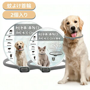 _10{|Cg^m~ 悯   ւɂ L  ybgp 2 Lp p ybg m~E_j΍pi ̂ݎ 悯 Ꮬ t  ^ɓKp  Ꮬ