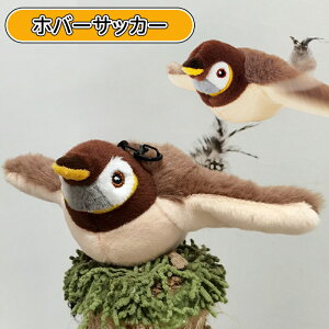 _10{|Cg^L   d ^b`N ʂ H΂ o lV ܂ѓ  Lߋ ybg ЂƂV ^b`N H [d FN