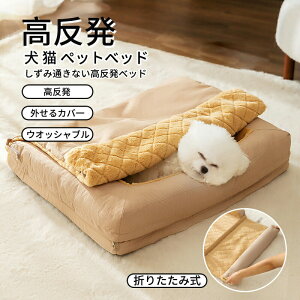 _10{|Cg^xbh ˂xbg ܂肽ݎ ybgxbh  xbh }bg ^ _炩 Lybg ybg\t@[􂦂 ̎アybgɍœK tӂӂ y