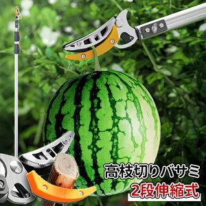 _10{|Cg^}؂oT~ ւnt }؂ 3iLk 1.4m-3m y  ͂ t SK5Yfn A~ ʎ  뉀 ȂǂɓK |p ̉ }