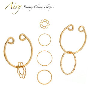 y1őP4{ Ԍ1,111~ItCPzsAX CO `[ t[v`[V[Y p[c ANZT[ t[vsAX C[Jt C[Nbvp earring charm CO `[