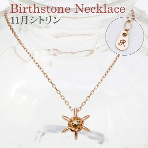 �y10���N���Ӎ� P10�{&�ő�3000�~�I�tCP�z�z���z�V�g���� �l�b�N���X 11���a���� �C�j�V�������� ���� K10(10��)�C�G���[�S�[���h�l�b�N���X�E�a�����②�蕨�Ȃǂ� �L�O�� ���f�B�[�X �C�j�V��