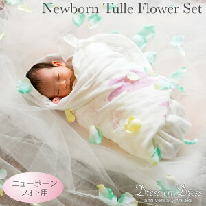 y12 X[p[SALE 10%OFFzj[{[tHg `[ Zbg Ԃт ԕ Ԃ ObY  sN Be uPbg  VtHg xr[V[ EFJ Xy[X   