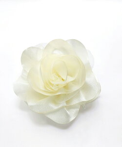 y903~N[|pŁzANZT[ u[` 2way RT[W  傫 rbOTCY  V[s p[eB[ Ă΂  tH[}  t[TCY J[oG[V