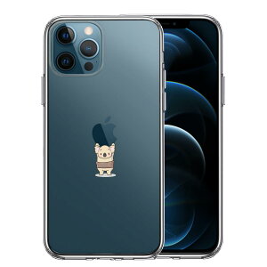 iPhone12 Pro ʃ\tg wʃn[h nCubh NA P[X RA  dʋ