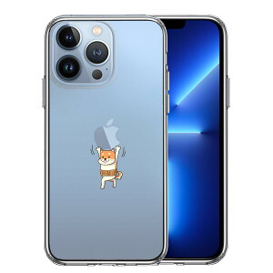 iPhone13 Pro ʃ\tg wʃn[h nCubh NA P[X  Abv dʋ 