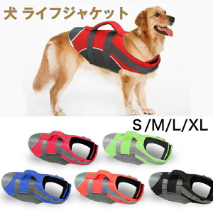 y2_w400~OFFzybgCtWPbg jpCtWPbg x V ͂D ~ t  ^ CtWPbg ybgp Ct WPbg p  h