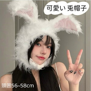 y2_w400~OFFznEB  蕨  Xq e 킢 Ԃ RXv ETM ݖXq q LbY xr[ fB[X  Lbv Xq EB^[X|[c E