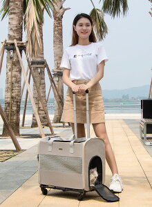 Ԍ8480~ybg L[obO  L L[J[g ܂肽 ybgJ[g L  bN J[g ybgobO L[bN L[J[g  L ybgL[ 