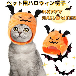 y2_w400~OFFznEB RX`[nE ybg   RXv L lR   hbO hbOEGA L ϐg t v[g ϐg ^  CX^f S