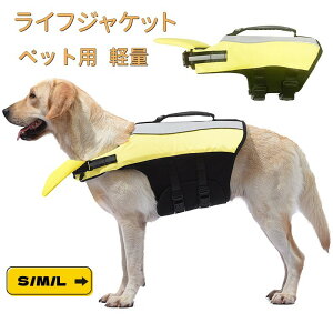 y2_w400~OFFz CtWPbg  ^  CtWPbg ~ ^ CtWPbg ybgp Ct WPbg p  hbOEGA S S V 