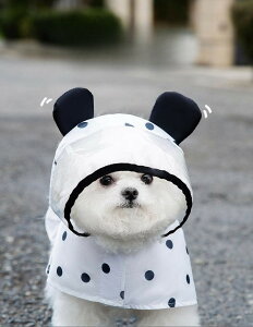 y2_w400~OFFz  CR[g WPbg J̓ ^ ^ S S h ybgp Ct WPbg  hbOEGA _bNX ` CR[g ^ ybg ^