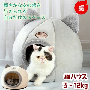 ~glRnEXL xbh Lp nEX ybgxbh Lp h[nEX lC ybgnEX h[^ NbV   xbh ͂ LbgnEX p\t@[ Lpi ˂p