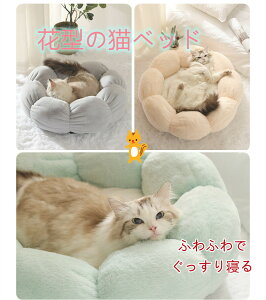 y2_w400~OFFzӂӂ L xbh Ԍ` ~ ybg nEX ~p ˂ xbh nEX Lp h[nEX lC   _炩  ~ NbV Lbg ybg