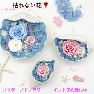 vU[uht[ o^C Mtg LO v[g 蕨 o KN [Y CeA j hV̓ NX}X ̓ o^Cf[ zCgf[ a j 