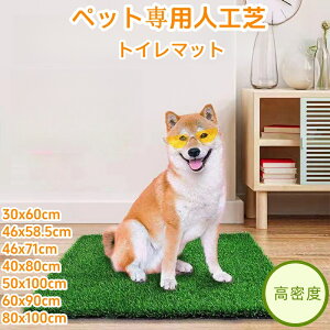 gC}bg  gCV[g }bg ybgV[c q lH ybgV[g }bg ybggCV[g ybggC ybgV[c gCV[c gC  