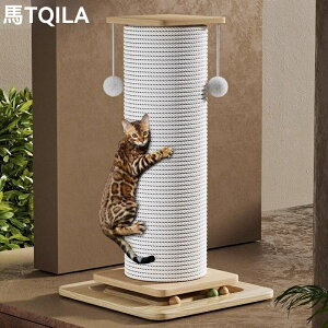 _SX|Cg5{^yő2000~N[|zzIzLbg^[ Ⴂ u    RpNg VjAL ^L  ėp t ē~p 芴 ]|h~ W]