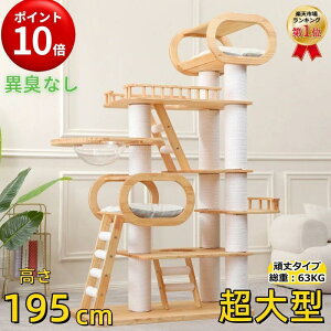 _|Cg10{I^yő2000~N[|zzIzyLO1ʊlIzLbg^[ u Lbg^[ ؐ ^  193cm d63KG VR  C SL 