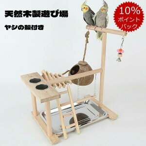 _X[p[SALEP5{^CR Vя V̊kt o[h AX`bN ߋ X^h ~܂ ͂ H    JS Vn H _[ x ̑  IEuR Ob