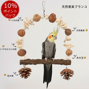 _ԌP5{^uP3{v1 CR o[hgC  ~܂ X^h IEuR ObY o[h ZLZCCR  AX`bN ߋ  ݂艺 H ؐ ފߋ 