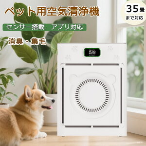 _ԌP5{^2025V OHEPAtB^[2! ybgpC@ ͋z ybg̖сELO[h É ȃGlC@ ybg 35Ή RpNg݌v X}