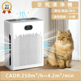 ★マラソン限定1000円クーポン配布中！★空気清浄機 ペット向け ペット臭 犬 猫 脱臭強化 30畳 20畳以上 省エネ 静音 自動 花粉 黄砂 HEPA＆UV除菌 ハウスダスト コンパクト ペットの毛を吸う空気清浄機 PM2.5対応 たばこ用 強力 フィルター 匂い