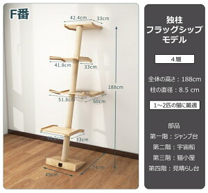 _ԌP5{^IWii ΂߃^Cv Lbg^[ ؐ VR 192cm  ^Lp u ߒi lC ]|h~   ˂nEX VRR ܂Ƃ  Lbg