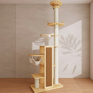 _ԌP5{^yő2000~N[|zzIzyVRؐ ^Lbg^[zafUC LbgnEX̌^ LƋ CޒŒ LpVя Vv_i