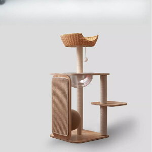 _SX|Cg5{^_SX|Cg5{^yő2000~N[|zzIzVR×ٕ҂ ȃXy[X^Lbg^[ TCU nbNt [Ή I[V[YLp