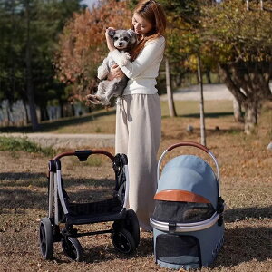 _SX|Cg5{^_SX|Cg5{^yő2000~N[|zzIzy\ AbvO[hŁz^E^ELp ybgL[J[ VjAɂS yʐ܂肽ݎ