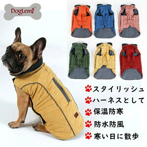 _ԌP5{^2_500~  ~ hbOEFA ybg NX}X VN a   xXg ȓ ^ ^ ^ ˃e[vt іh~ m hR[g h