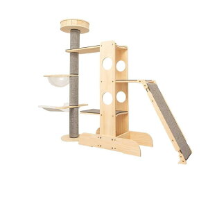 _SX|Cg5{^yő2000~N[|zzIzy^/VR؁zLbg^[ L^[ iKVяt ܂Ƃt Ή SS݌viLpKitj