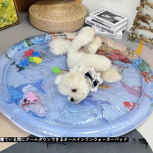 _ԌP5{^yő2000~N[|zzIzẴybgpp}bg LpWFxbhb[UN[NbViMǑ΍/􂦂/JԂgpj