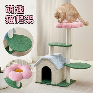 yL̂ 5_Zbgz ܂Ƃ t Lbg^[ ϖ  lV \ ˂ ܂Ƃ  Ȃ H 傤 L_ S S ݌v