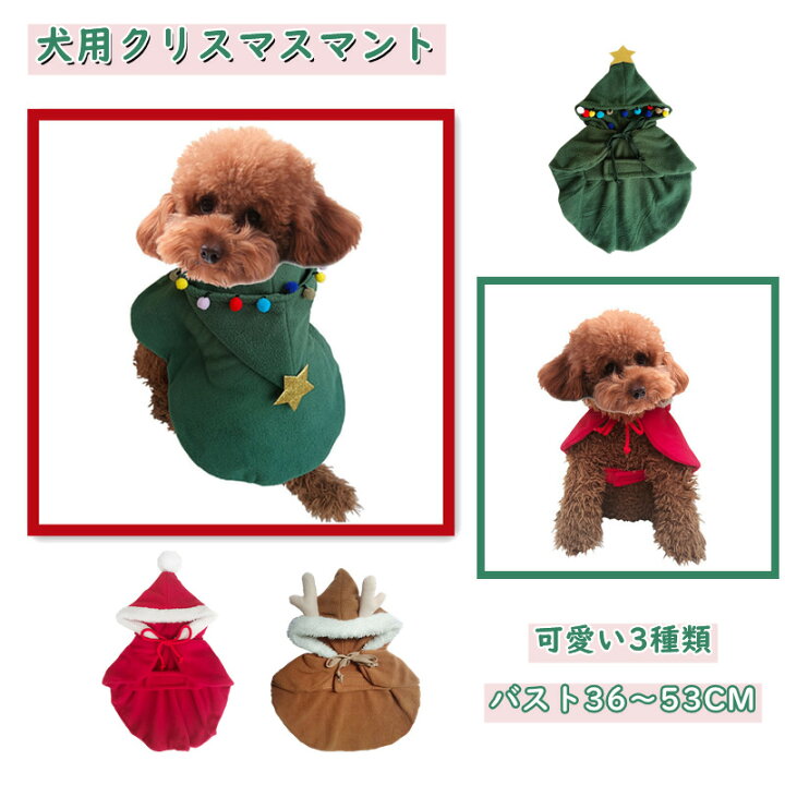 楽天市場 ペット服 クリスマス 猫 犬 かわいい 帽子 マント クリスマス服 トナカイ サンタ パーティー お祝い コスプレ 小型犬 ペット用品 写真 映える 正月 新年 人気 ファッション 可愛い 柔らかい 小中型犬服 猫服 洗濯可能 子犬 猫用 サイズ選択可 お散歩 お出かけ