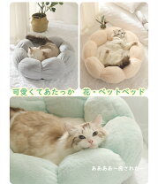 楽天市場】アウトレット OUTLET（猫用品｜ペット・ペットグッズ）の通販
