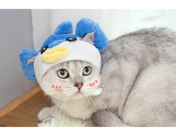 楽天市場 ペット 帽子 コスプレ 猫用 犬用 仮装コスプレ かぶりもの トラ 干支 虎 寅年 22年 可愛い 耳付き 着脱簡単 マジックテープ付き 被り物 インスタ映え Sns ペット用品 コスチューム 記念撮影虎に変身 ペット服 フランネル素材 ペット用かぶりもの 出掛け