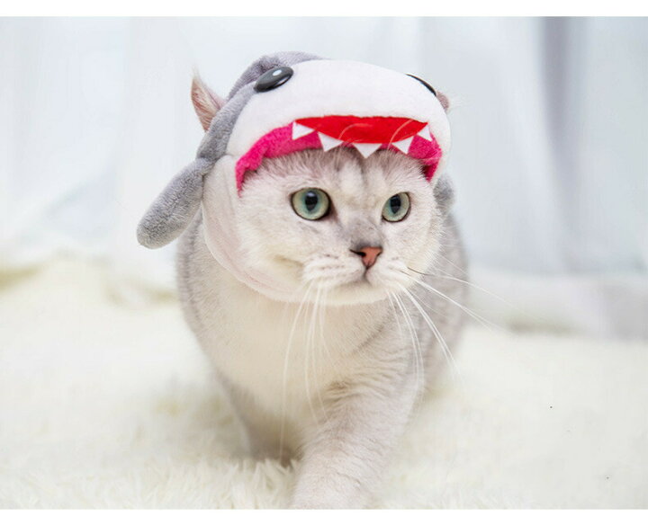 楽天市場 ペット 帽子 コスプレ 猫用 犬用 仮装コスプレ かぶりもの トラ 干支 虎 寅年 22年 可愛い 耳付き 着脱簡単 マジックテープ付き 被り物 インスタ映え Sns ペット用品 コスチューム 記念撮影虎に変身 ペット服 フランネル素材 ペット用かぶりもの 出掛け