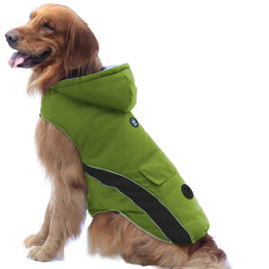 ݌Ɉ|  ~ hbOEFA ybg NX}X VN a   xXg ȓ ^ ^ ^ ˃e[vt іh~ m hR[g h y EȒP H g