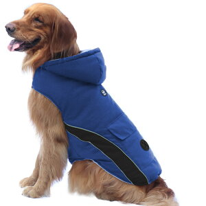 ���݌Ɉ�|���� �� �~ �h�b�O�E�F�A �y�b�g �N���X�}�X �V�N �a���� �� �� �x�X�g ���ȓ��� ���^�� ���^�� ��^������ ���˃e�[�v�t�� �����іh�~ �m�� �h���R�[�g �h�� �y�� ���E�ȒP �H �g