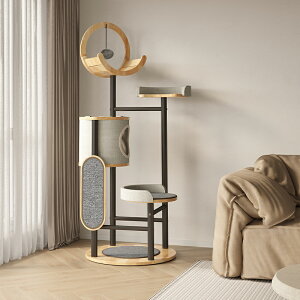 _ԌP5{^Lbg^[ L^[ 5KẴ^[ 167cm B nbN 傫ăXȃfUC   芴 ^s TCU}bg tďH~gp\ 