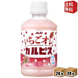 yzATq I&JsX 280mlybg{g 48{(24{×2P[X) t[cJsX 2504 kC800~Ek400~̕ʓrZ