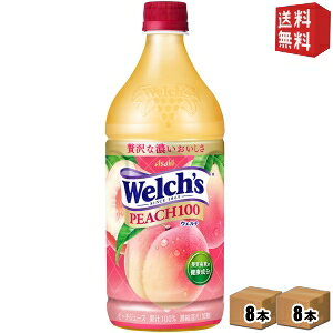 yzATq Welch's EF` s[`100 800gybg{g 16{(8{×2P[X) ʏ`100 W[X    2504 kC800~Ek400~̕ʓrZ