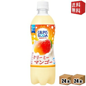 yzATq JsX\[_ N[~[}S[ 500mlybg{g 48{(24{×2P[X) asahi2505 kC800~Ek400~̕ʓrZ [39Vbv]