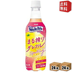 yzATq Welch's EF` ܂OtXp[NO 450mlybg{g 48{(24{×2P[X) O[vt[c asahi2505 kC800~Ek400~̕ʓrZ