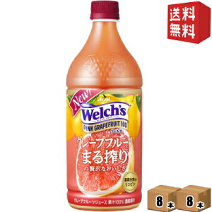 yzJsX Welch's EF` sNO[vt[c100 800gybg{g 16{ (8{×2P[X) kC800~Ek400~̕ʓrZ [39Vbv]