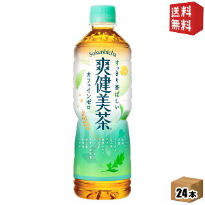 yzRJER[ u 600mlʃybg{g 24{ (RJR[) 20190110