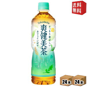 ԌyzRJR[ u 600mlʃybg{g 48{ (24{×2P[X) kRJER[ {^jJl kC800~Ek400~̕ʓrZycoca1909z [39Vbv]