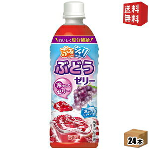 yz_Ch[ ՂVԂǂ[[ 490mlybg{g 24{ (MǑ΍)